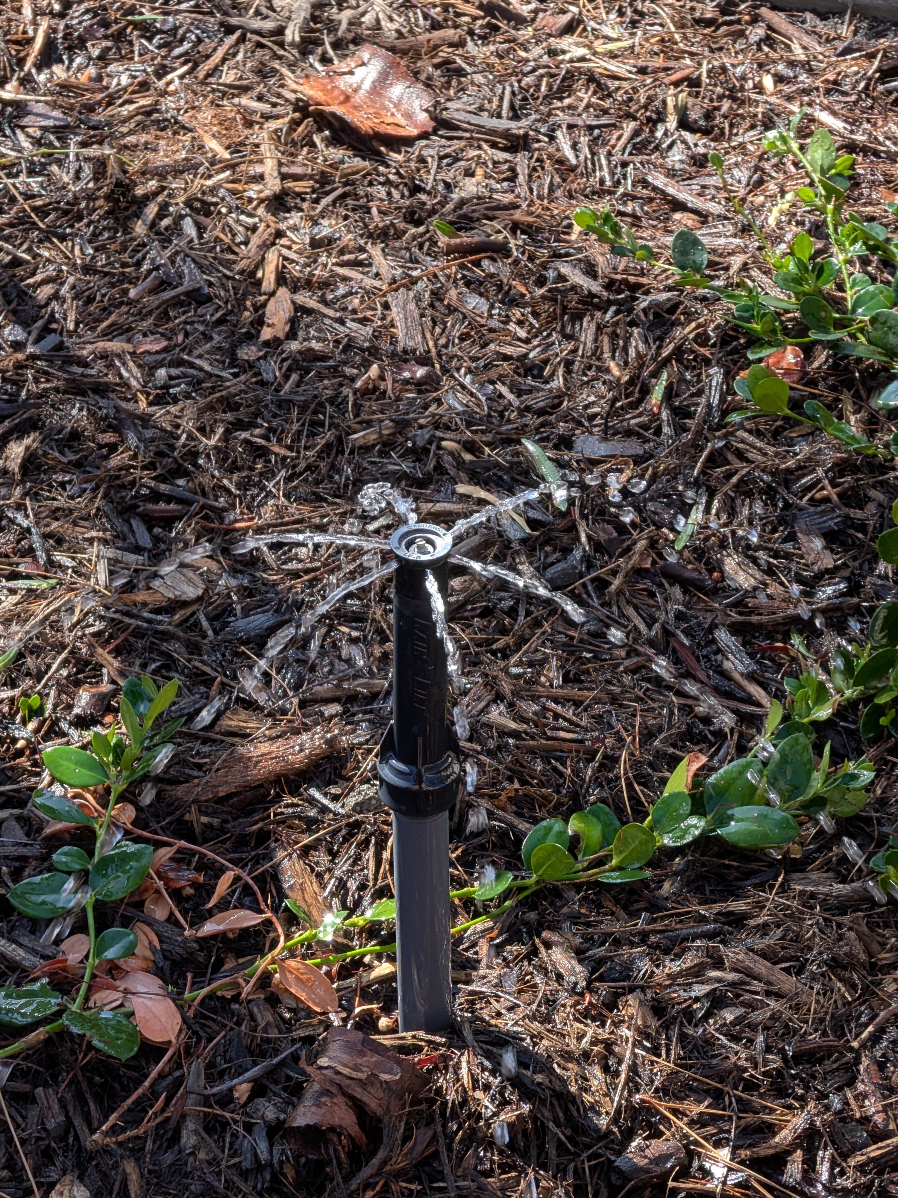 Flow Restrictor Screen