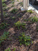 Flow Restrictor Screen